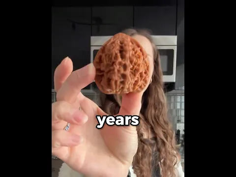 They Spend Years Rolling These WALNUTS?! 😳