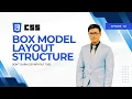 CSS Box Model Explained - Layout Structure Spacing Hindi Urdu EP02