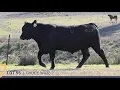 Lot 55 - CHOICE W438