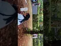 Download Lagu proses syuting Ftv Ridho Rhoma... Asmara di antara dua dara