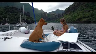 Starlink on a Moving Boat Review