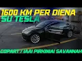 1600km SAVANNAH su TESLA Terminalas COPART ir IAAI pirkiniai atvyke krovai