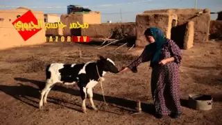 سعدي البياتي حزين الدار RAZOR TV 