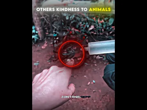 Animals deserve love and kindness. 🐾❤️ #kindness