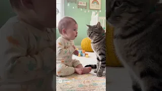 لما البيبي يقرر يتكلم لغة القطط FunnyBaBy FunnyCat CuteReels LOL FamilyComedy Pets COMEDY  لما البيبي يقرر يتكلم لغة القطط FunnyBaBy FunnyCat CuteReels LOL FamilyComedy Pets COMEDY