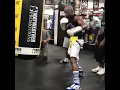 Download Lagu THAT SNAP!⚡Mayweather Perfecting His Jab