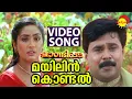 Download Lagu Mayilin Kondal | Video Song | Pandippada | Dileep | Prakash Raj | Navya Nair