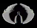 BKTS - Awake