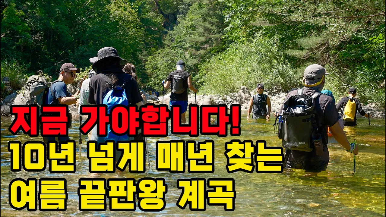 지금 가야하는 강원도 오지 계곡, 10년째 매년 다녀온 진짜 이유 サムネイル