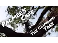 Palmer s Cafe The Climbing Tree