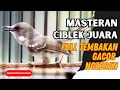 Download Lagu MASTERAN CIBLEK JUARA FULL TEMBAKAN NGEBREN
