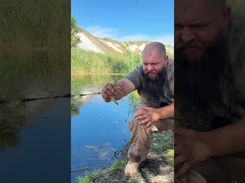 Опасный водяной клещ