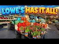 Lowe s Garden Center NEW Halloween Arrivals