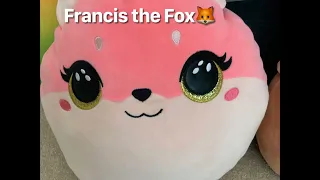 All my squishmallows names