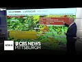 Tornado warning issued for parts of Pittsburgh area as severe weather moves through the region