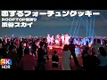 Download Lagu 🥰AKB 48! \