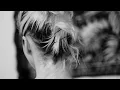 Mary Lambert - When You Sleep (Lyric Video)
