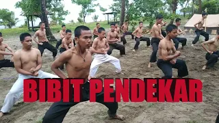 Download Bibit Pendekar - Atraksi Calon Warga IKSPI Kubu Kopral Cab Pinrang MP3