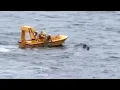 Download Lagu Dad Jumps Off Cruise to SAVE Child, Disney Crew Rescues Both