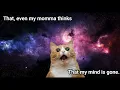 Gangsta's Paradise - Cats (Lyrics)