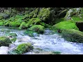 Download Lagu Het geluid van de rivier (het ruisen van de rivier) dat de geest aanzienlijk zuivert [studie, slaap]