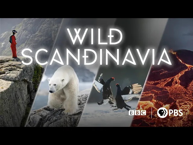 Wild Scandinavia - 2023 - PBS Documentary Series Trailer