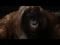 I Wanna Be Like You (Thai) - The Jungle Book (2016)