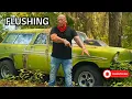 Download Lagu Stitches - Flushing