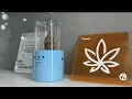 Michigan marijuana proposals Majority receive approval other communities say no