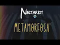 Download Lagu NECTARIOT - Metamorfosa (officiële songtekstvideo)