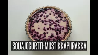 Vegaanijuustokakku | Minttusuklaajuustokakku. 