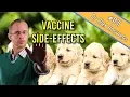 The Vaccine Side Effects in Dogs and Cats You Really Need to Know - Dog Cat Health Vet Advice