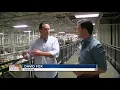 Made In The Bay The rise of Valpak in the bay area