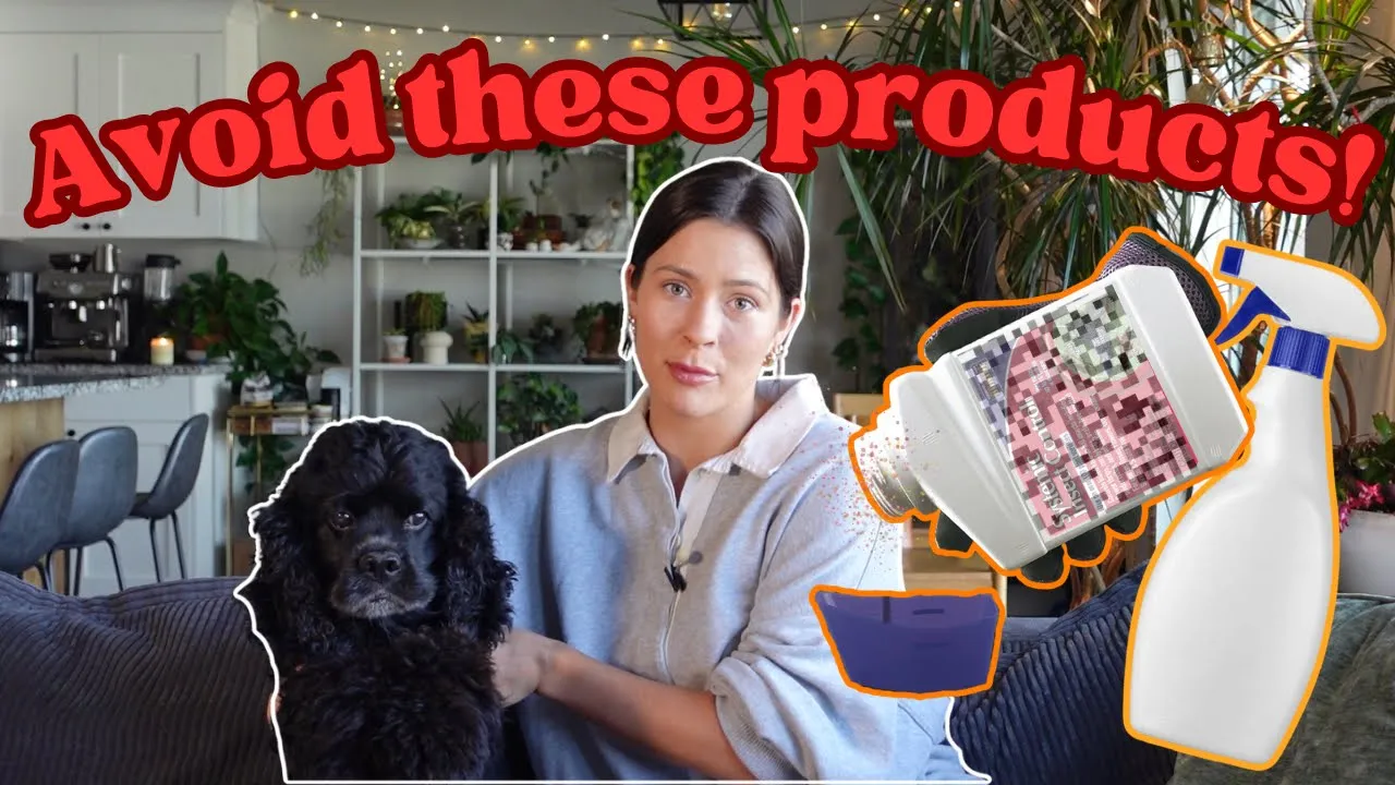 These 'Safe' Plants Could Still Harm Your Dog