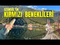 Download Lagu KIRMIZI BENEKLİ ALABALIK AVI | SALMO TRUTTA FISHING |