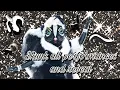 Download Lagu Masked singer Skunk all performances and reveal