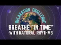 Breathe in time for ULTRA RELAXATION Aria Breath