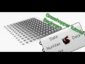 Grasshopper Tutorial Duplicating and moving with Series