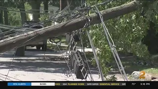 PSEG Long Island Says It Will Compensate Customers Who Lost Food Medicine After Tropical Storm Isai