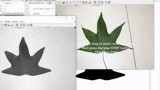 leaf detection using image processing in MATLAB