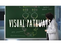 Neuroanatomy S1 E6 Visual Pathways