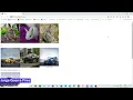 TensorFlow js in Angular no backend found in registry