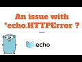 RESTful API in Golang using Echo - An issue with echo HTTPError