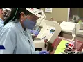 Donate Plasma