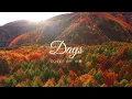 陳粒-Days日日(cover by小呆)