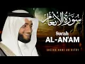 Surah Al An'Am سورة الأنعام | Beautiful Quran Recitation | Hani Ar Rifai | Al Quran Live TV