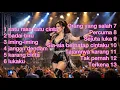 Lagu DANGDUT MUSIK EDM BASS SELOW ENAK SATU RASA SATU CINTA,IMING-IMING,SEJUTA LUKA FULL BASS