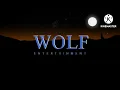 NBC Wolf Entertainment Universal Television Logo History