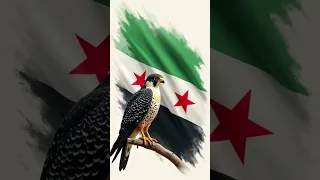 طير الحرية الطاير من فوق الشام تحرير سوريا من النظام سوريا سقوط نظام الأسد Shorts Ytshort 