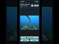BlueVoid Overview - Explore and Manage Your Dive Library